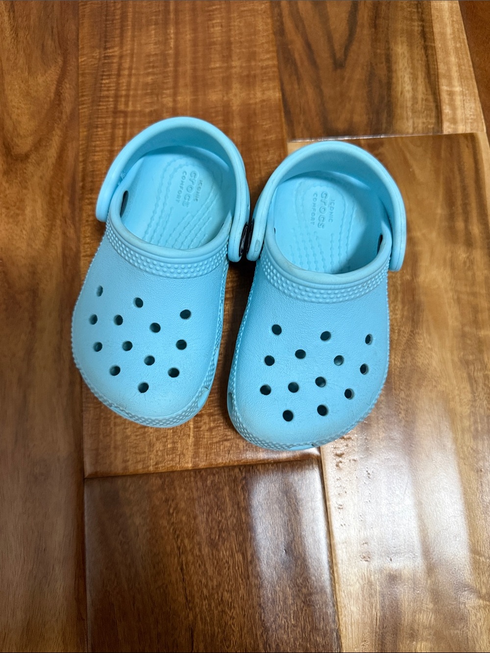 Crocs in baby blue toddler size 6